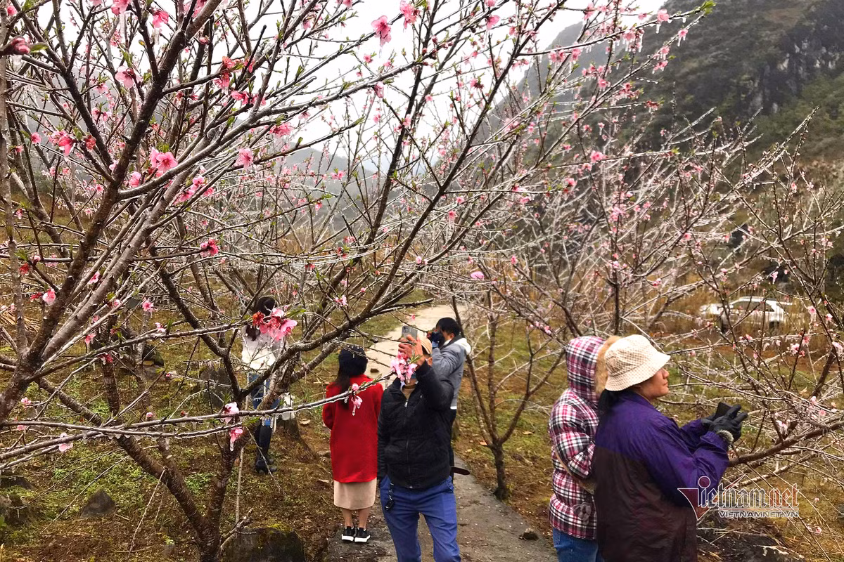 Ky ao bang gia boc kin hoa co noi dinh nui ret nhat Viet Nam-Hinh-5