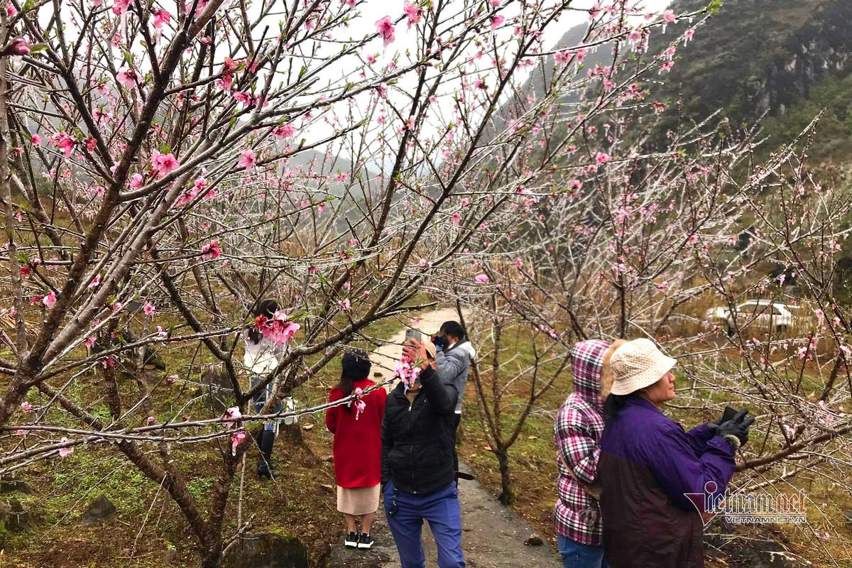 Ky ao bang gia boc kin hoa co noi dinh nui ret nhat Viet Nam-Hinh-5