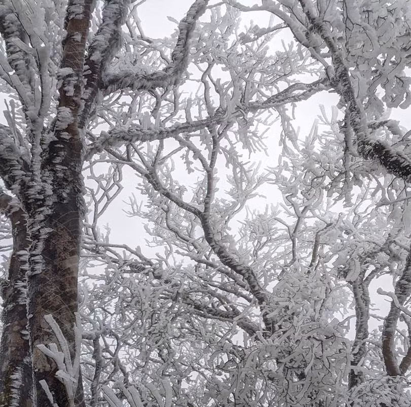 Ky ao bang gia boc kin hoa co noi dinh nui ret nhat Viet Nam-Hinh-16