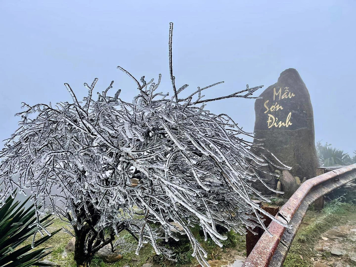 Ky ao bang gia boc kin hoa co noi dinh nui ret nhat Viet Nam-Hinh-8