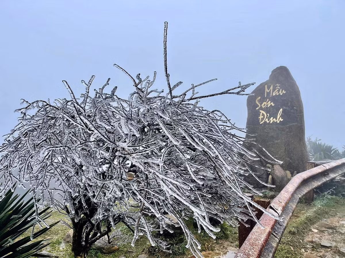 Ky ao bang gia boc kin hoa co noi dinh nui ret nhat Viet Nam-Hinh-8