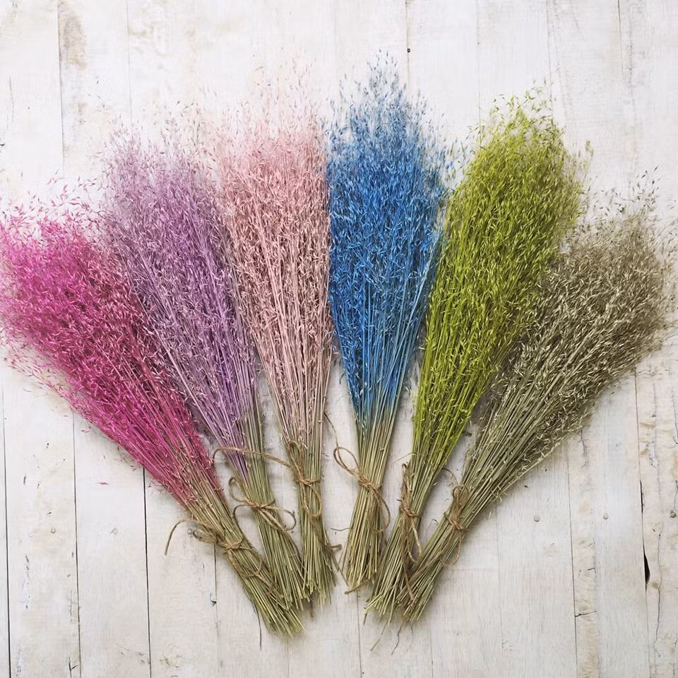 Hoa khô. Một số người thích trang trí hoa trong nhà nhưng do công việc bận rộn nên vô tình bỏ hoa bị tàn và không kịp thay thế. Những cánh hoa khô héo không chỉ gây mất thẩm mỹ, ô nhiễm không khí mà còn ảnh hưởng đến phong thủy của ngôi nhà. Theo quan niệm phong thủy, hoa khô sẽ mang đến vận xui cho gia đình. Hoa khô đại diện cho nguồn năng lượng trì trệ, không tốt cho ngôi nhà.