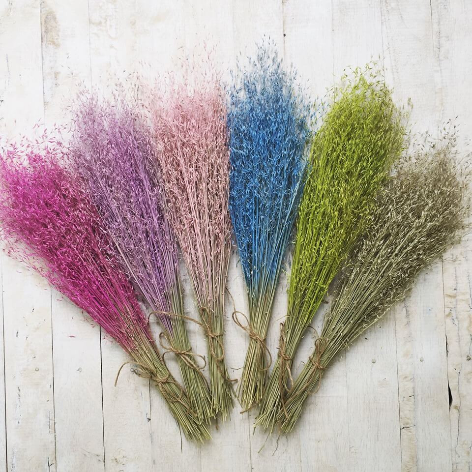 Hoa khô. Một số người thích trang trí hoa trong nhà nhưng do công việc bận rộn nên vô tình bỏ hoa bị tàn và không kịp thay thế. Những cánh hoa khô héo không chỉ gây mất thẩm mỹ, ô nhiễm không khí mà còn ảnh hưởng đến phong thủy của ngôi nhà. Theo quan niệm phong thủy, hoa khô sẽ mang đến vận xui cho gia đình. Hoa khô đại diện cho nguồn năng lượng trì trệ, không tốt cho ngôi nhà.