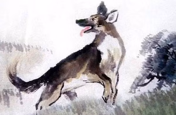 Theo tử vi, bước qua 23 tháng chạp, cuộc sống của con giáp này sẽ dần thay đổi, sự nghiệp cũng chuyển sang một hướng mới. Con giáp này được Thần Tài chiếu cố nên tài lộc vô cùng hanh thông, mọi việc tiến hành đều suôn sẻ và có sự trợ giúp của quý nhân.