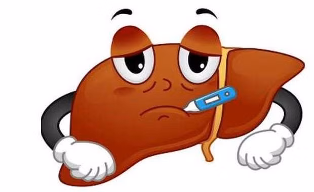 Tren co the co 3 vi tri cung de doan tho