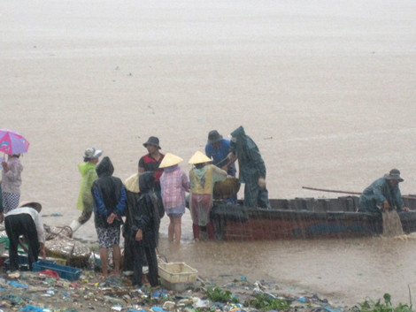 Ở một số tỉnh ven biển Trung Bộ đã có mưa rất to và dông.