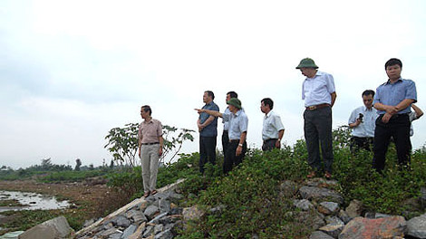 Thứ trưởng Bộ NN&PTNT Hoàng Văn Thắng kiểm tra trọng điểm kè 16 trên tuyến đê tả sông Đáy thuộc địa phận xã Nghĩa Lạc (Nghĩa Hưng, Nam Định). Ảnh: Báo Nam Định