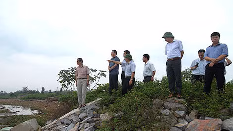 Thứ trưởng Bộ NN&PTNT Hoàng Văn Thắng kiểm tra trọng điểm kè 16 trên tuyến đê tả sông Đáy thuộc địa phận xã Nghĩa Lạc (Nghĩa Hưng, Nam Định). Ảnh: Báo Nam Định