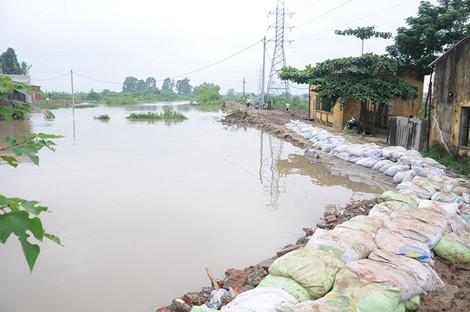 Mưa lớn đã làm nước sông Nhuệ đoạn qua xã Tây Mỗ, Từ Liêm, Hà Nội dâng cao và tràn bờ từ rạng sáng 9/8.