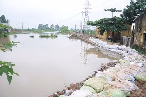 Mưa lớn đã làm nước sông Nhuệ đoạn qua xã Tây Mỗ, Từ Liêm, Hà Nội dâng cao và tràn bờ từ rạng sáng 9/8.