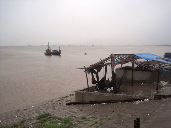 Bộ Chỉ huy Bộ đội Biên phòng tỉnh Thanh Hóa cho biết: Đến 9h sáng ngày 7/8, Thanh Hóa vẫn còn 137 phương tiện/411 lao động đang hoạt động trên biển.