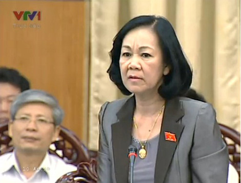 Chủ nhiệm Ủy ban Các vấn đề xã hội Trương Thị Mai.