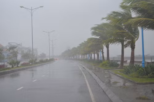 Bão số 5 gây gió lớn và mưa tại TP Hạ Long.