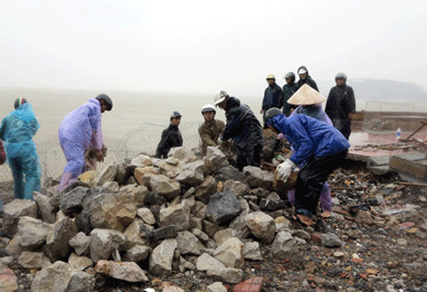 Vận chuyển đá gia cố kè xung yếu ở khu 2 Đồ Sơn. Ảnh: Báo Hải Phòng