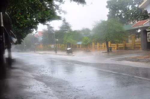 Từ 7h30 sáng nay, mưa, gió tại huyện đảo Vân Đồn, tỉnh Quảng Ninh đã trở nên dữ dội.