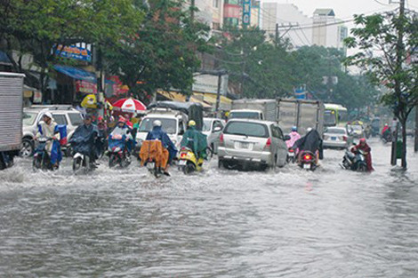 TS Nguyễn Minh Phong, cho rằng, thực trạng đô thị TP.HCM vẫn bị ngập lụt nhưng các vị lãnh đạo vẫn ung dung nhận mức lương cao ngất là không được. (Ảnh: Người Lao Động)