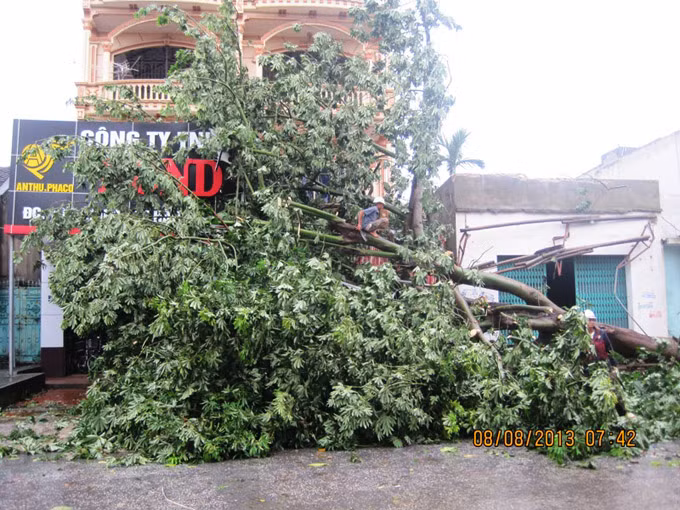 Cửa hàng tại thị trấn huyện Hậu Lộc bị cây đè nát phần mái hiên.