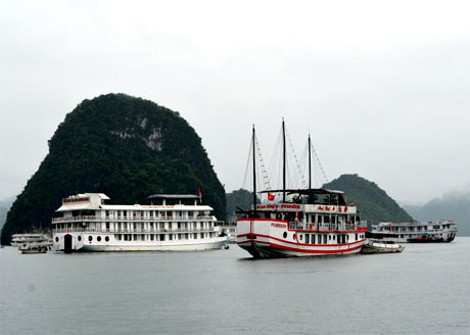 Toàn bộ tàu du lịch về nơi tránh trú bão an toàn. Ảnh: Báo Quảng Ninh