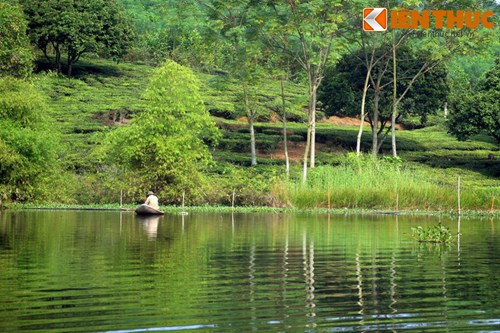 Các đồi chè xanh ngát bên bờ đầm khiến cho khung cảnh càng trở nên hấp dẫn.