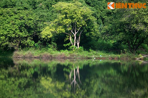 Ở nhiều đảo, người dân địa còn trồng nhiều loại cây ăn quả như: mít, bưởi, nhãn, vải, khế...