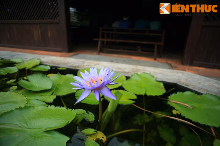 Ngoài những nội dung được phân công giảng dạy, thầy giáo Nguyễn Tất Thành còn truyền bá lòng yêu quê hương đất nước, nòi giống tổ tiên cho học sinh.