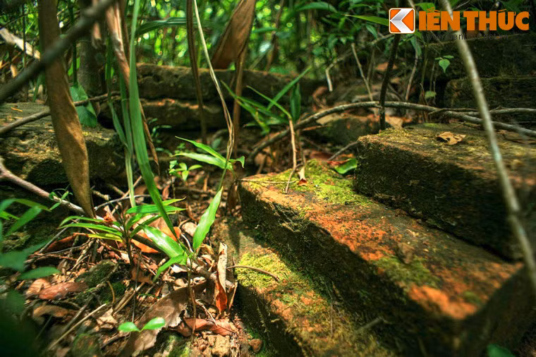 Không có bất cứ dấu vết nào về hoạt động sống của con người ở nơi đây.