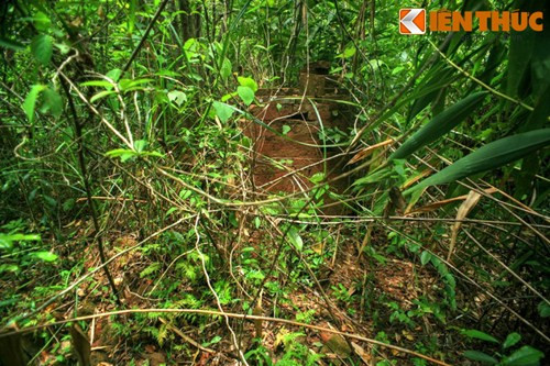 Để đến được nhóm tháp này, phải vượt qua một con suối cùng khoảng nửa cây số rừng rậm um tùm.