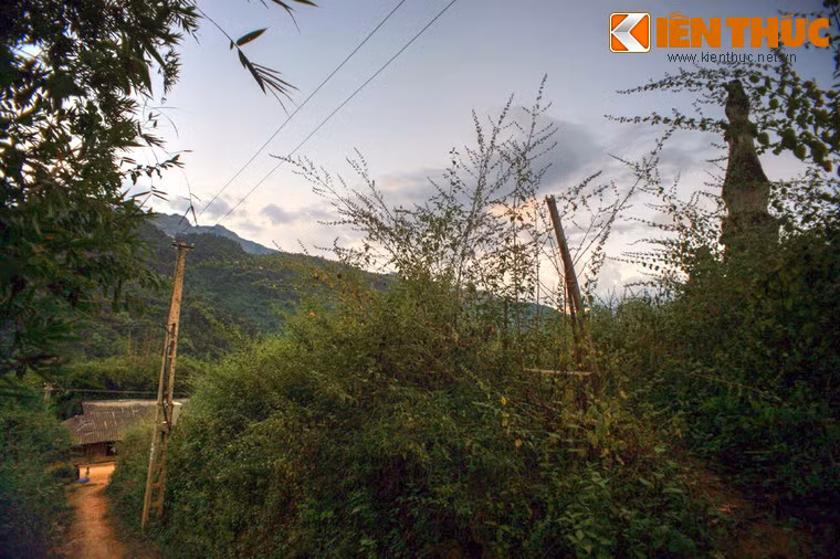 Cùng với tháp Mường Luân, tháp Chiềng Sơ, tháp Mường Và, tháp Mường Bám làm nên một sự giao thoa văn hóa đặc sắc trên cơ sở của mối quan hệ lịch sử đặc biệt Việt - Lào ở vùng đất Tây Bắc.