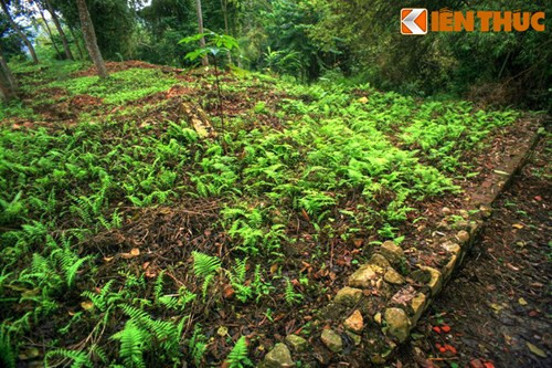 Trong lịch sử tồn tại, nhà tù là nơi đã giam giữ các chiến sĩ yêu nước tham gia cuộc khởi nghĩa của binh lính Thái Nguyên (1917), khởi nghĩa Yên Bái (1930) và khởi nghĩa Bắc Sơn (1940). Ảnh: Nền móng khu nhà giam.