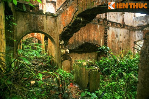 Các loài cây dại tràn ngập trên nền các gian phòng, nhân lên nhiều lần cảm giác cô quạnh.