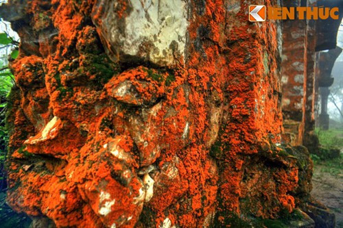 Những mảng tường phủ đầy loài rêu mốc màu đỏ khiến bầu không khí nhuốm phần kỳ bí.