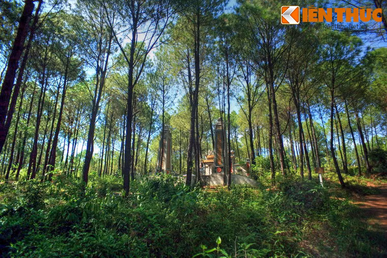 Là con thứ của vua Thiệu Trị, Nguyễn Phúc Hồng Dật bị ép lên ngôi vua ở tuổi 37 với niên hiệu Hiệp Hòa. Chỉ ở ngôi 4 tháng, ông đã bị các quan Phụ chính đại thần bức tử vì có thái độ thân Pháp. Vì là phế đế, ông chỉ được an táng ở một ngôi mộ nhỏ ngày nay nằm trong khu rừng thông hoang vắng thuộc phường An Tây, TP Huế.