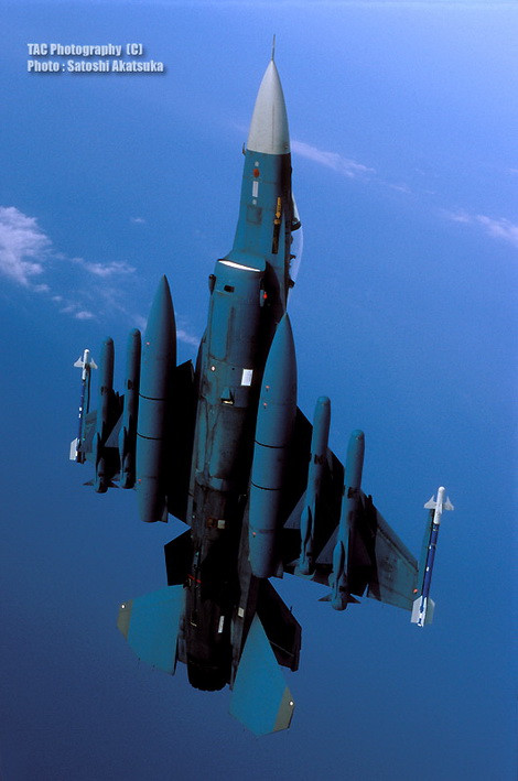 Các mấu cứng cảu F-2 có thể gắn tên lửa, bom hay thùng dầu phụ.