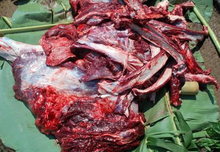 Đối tượng có nguy cơ cao nhất là những người tiếp xúc trực tiếp với các con vật đã chết như nhân viên lò mổ và thợ thuộc da. Bệnh không truyền từ người sang người.