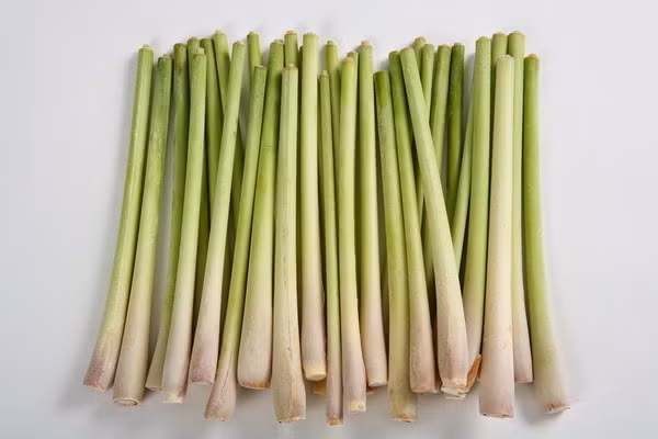 Mượt tóc, trị gàu. Nếu tóc bạn thường bị bết do da đầu nhờn, bị nấm da đầu hay gàu hãy dùng sả để cải thiện tình hình. Bạn có thể nấu nước sả để gội hay ủ tóc bằng tinh dầu sả để tóc sạch và da đầu khô thoáng. Hãy nhớ massage da đầu với tinh dầu sả để đầu óc thư giãn, thoải mái hơn.