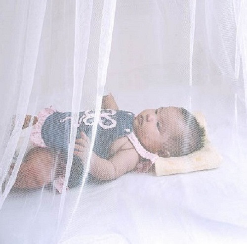 Ngoài ra, khi ngủ cần nằm màn, xung quanh nhà có thể trồng dạ hương, sả giúp đuổi côn trùng. Dùng lưới chống muỗi, côn trùng ở các cửa sổ hoặc những chỗ thông gió trong nhà.