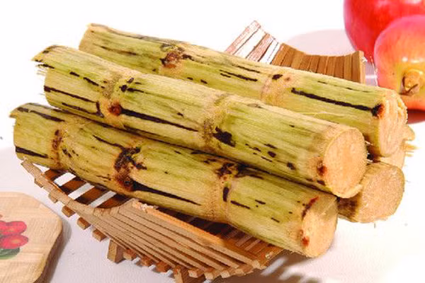 Mía: Đừng vội vứt đi bã mía sau khi đã thưởng thức vị ngọt của nó cũng như thỏa mãn được cơn khát. Thay vào đó hãy dùng bã mía chà nhiều lần trên răng sẽ giúp răng sáng bóng và loại trừ mảng bám.