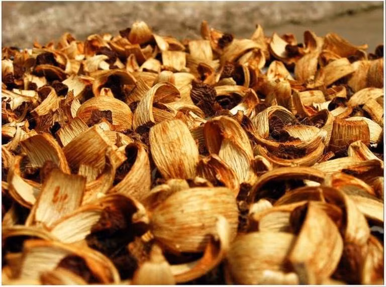 Cau: Đây là một phương pháp làm trắng da dân gian, đơn giản chỉ cần dùng miếng cau bổ làm tư chà kỹ những vết ố trên răng, hàm răng bạn sẽ mau chóng trở lại bóng sạch.