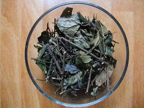 Lá chè vằng. Chè vằng được coi như một loại thuốc chống nhiễm khuẩn, sớm hồi phục sức khoẻ, kích thích tiêu hoá, ăn ngon miệng, và cho mẹ nguồn sữa dồi dào. Sau sinh, các bà mẹ có thể hãm chè vằng khô để uống thay nước hàng ngày.