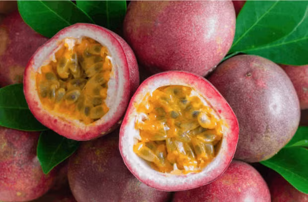 3 loai qua o Viet Nam moc dai day duong, sang nuoc ngoai thanh cua ngon vat la-Hinh-5