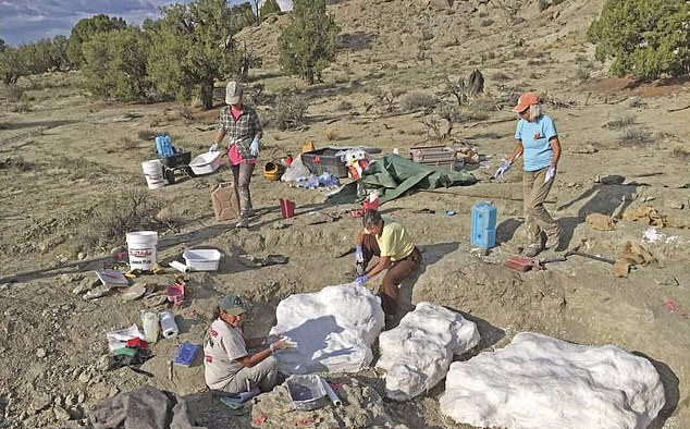 Phát hiện mộ tập thể của “khủng long - sói” khủng khiếp nhất mọi thời đại - Hình 2 Phat hien mo tap the cua “khung long - soi” khung khiep nhat moi thoi dai-Hinh-2