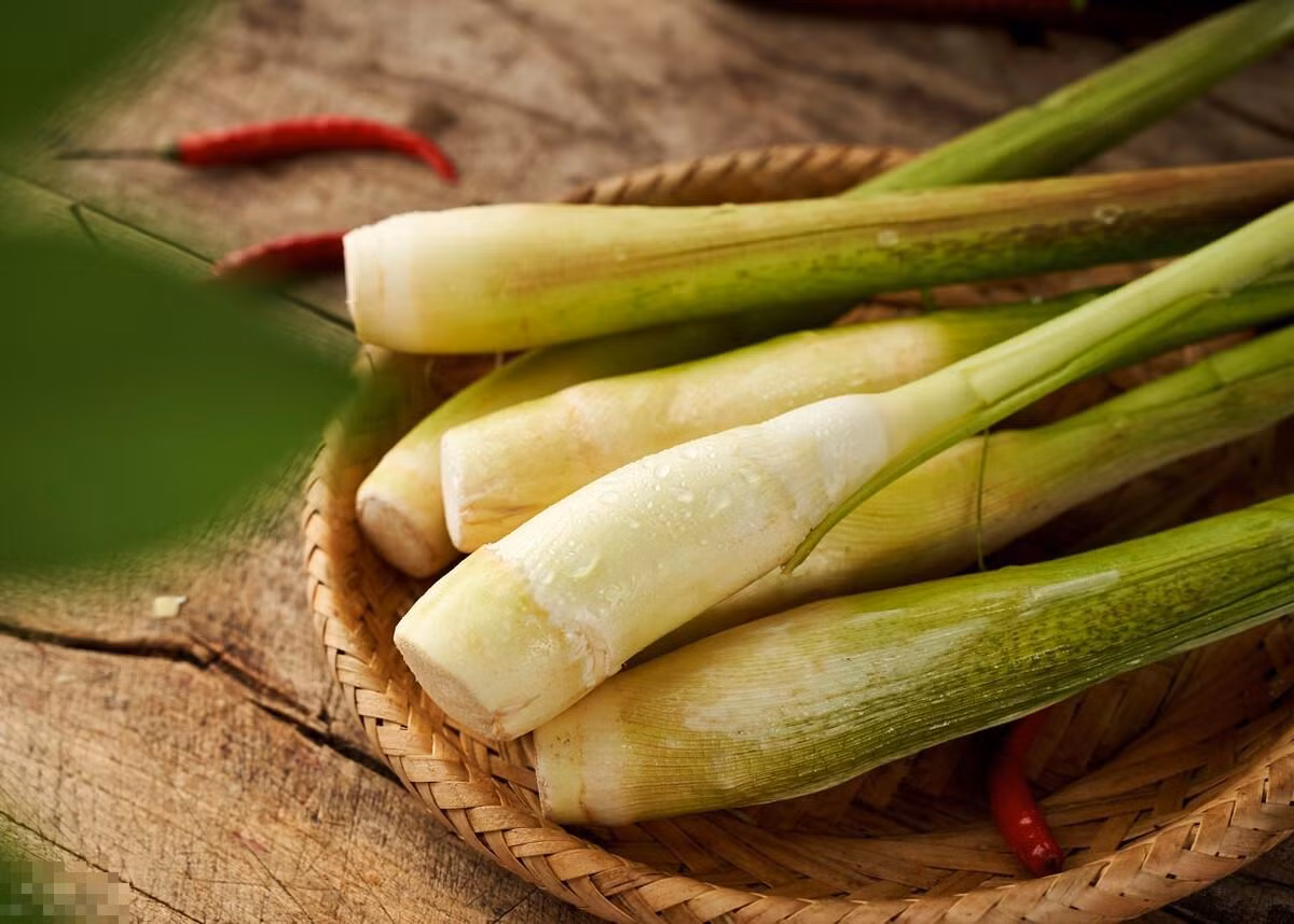 Loai rau “nhan sam nuoc”, giau vitamin, giup giam can-Hinh-2