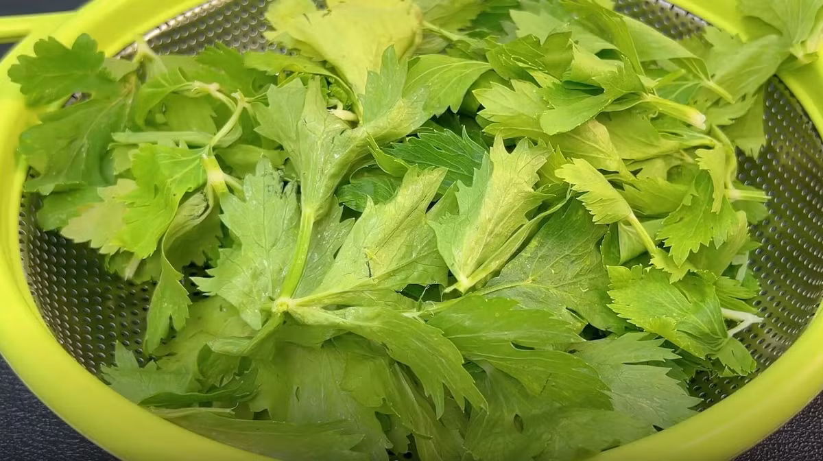 Loai rau co canxi gap 6 lan trung, an vao tran day nang luong-Hinh-3