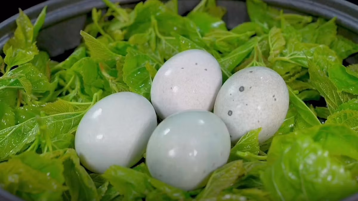 Loai rau duoc vi nhu bau vat, giup giai nhiet, chong viem-Hinh-6