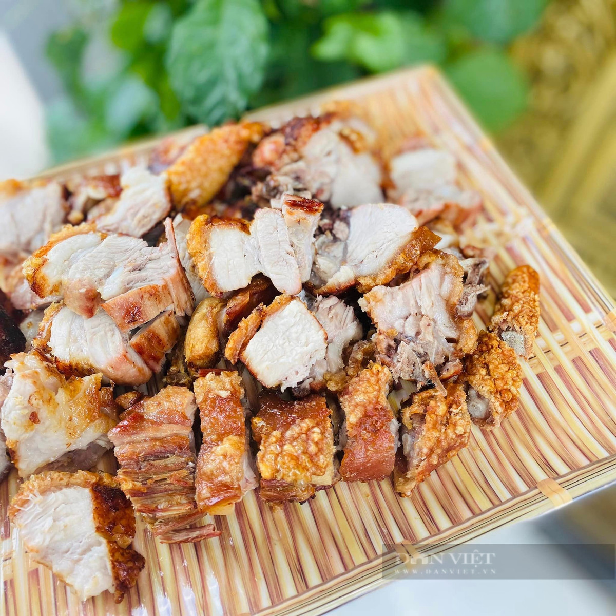 Bo phan doc nhat cua con heo, rat tot cho sinh ly dan ong-Hinh-5