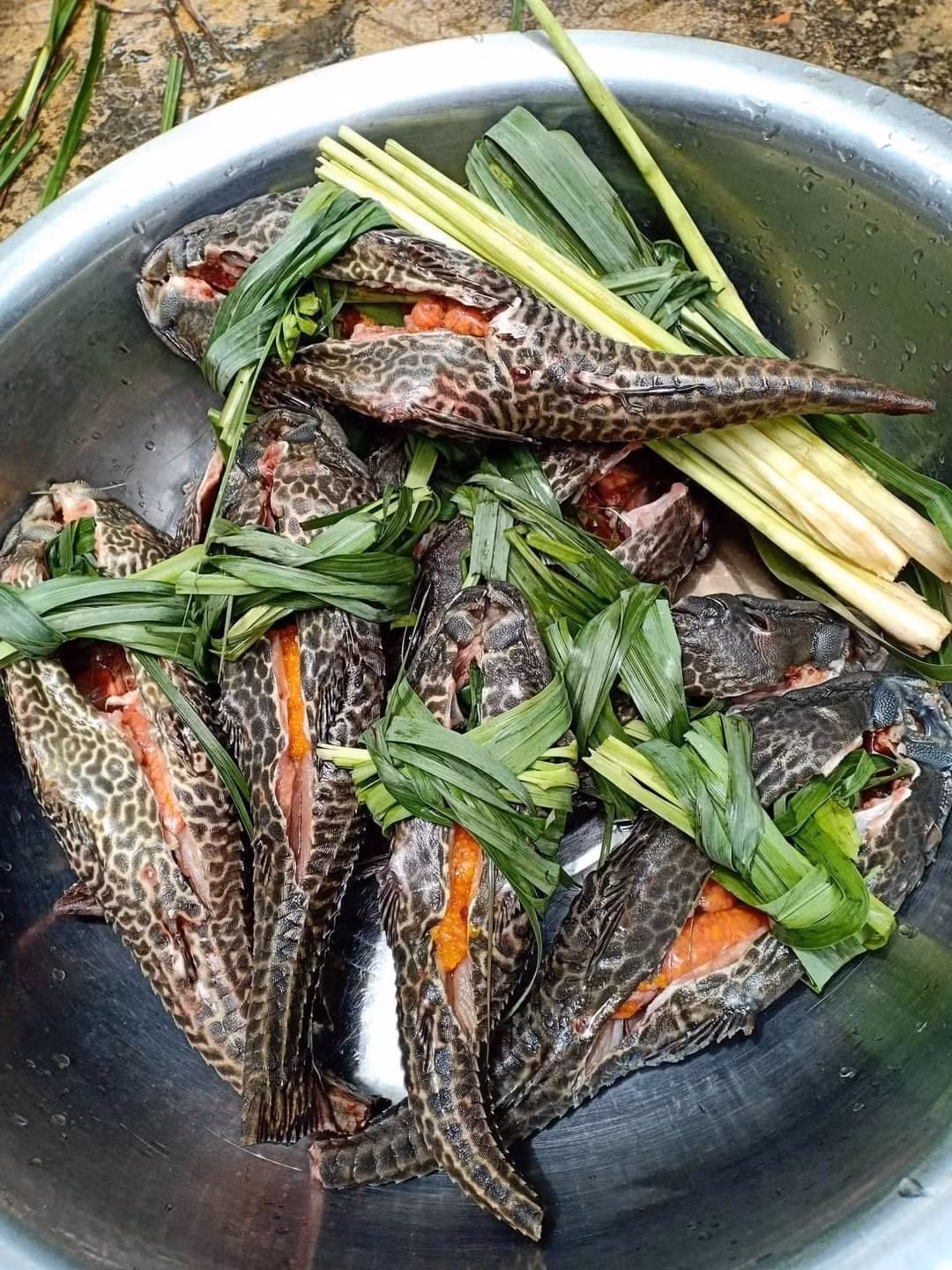 Loai ca hinh dang gay khiep so nhung cuc thom ngon, bo duong