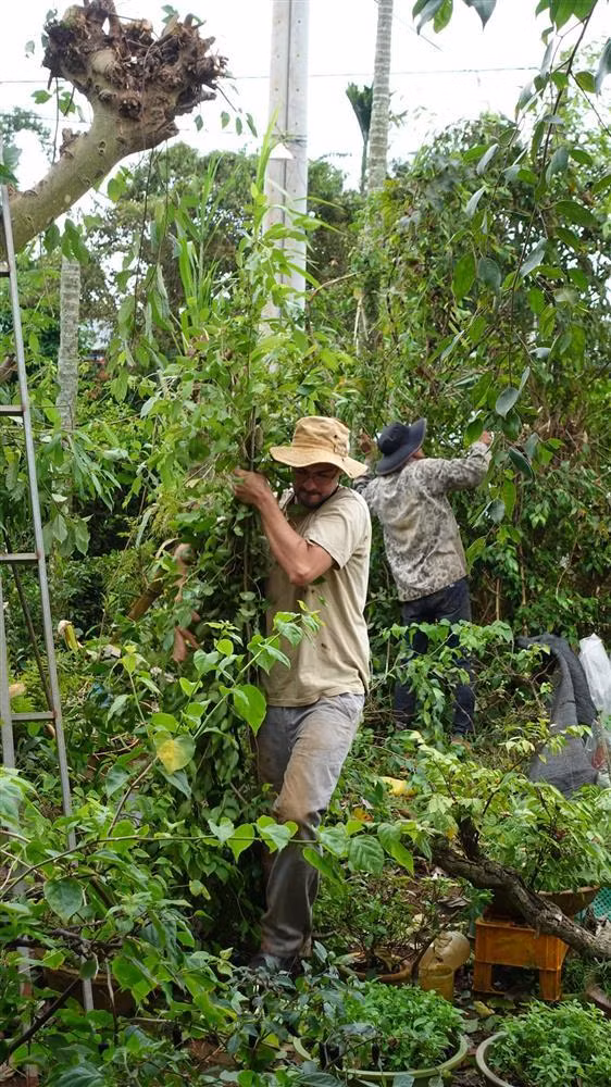 Chang trai Bi lay vo Viet, theo ve Dak Lak lam ray-Hinh-4