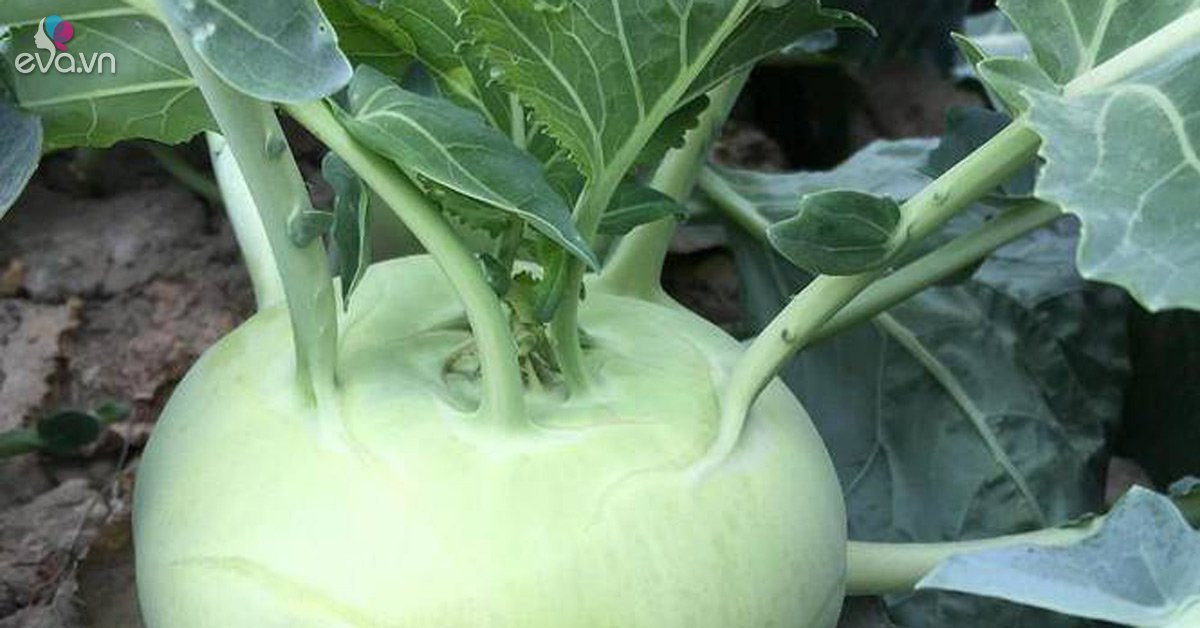 Loai rau giau kali va hop chat carotenes rat tot cho mat