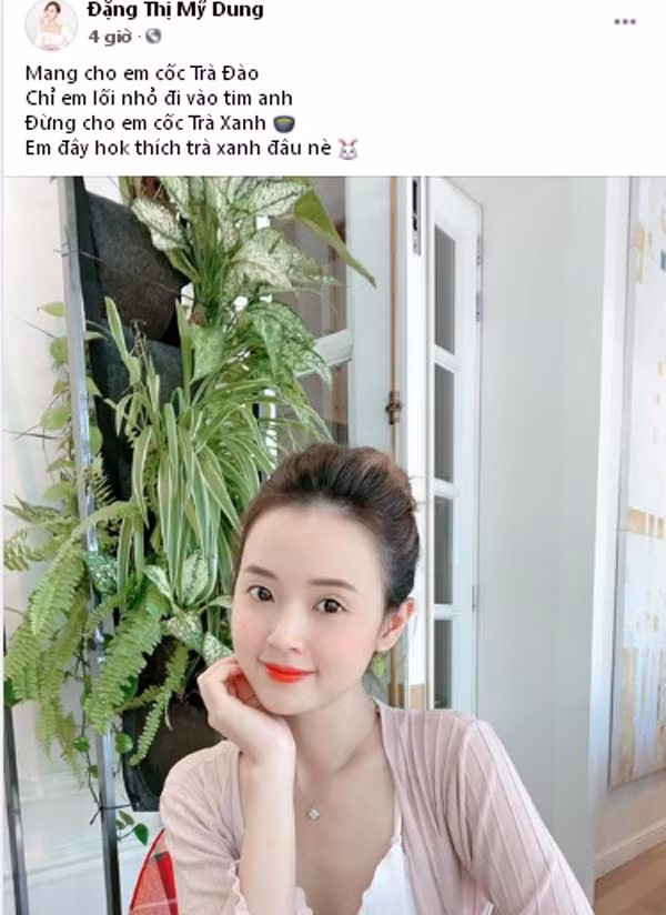 Midu bi chi trich ke fame khi lam tho ve tra xanh-Hinh-2