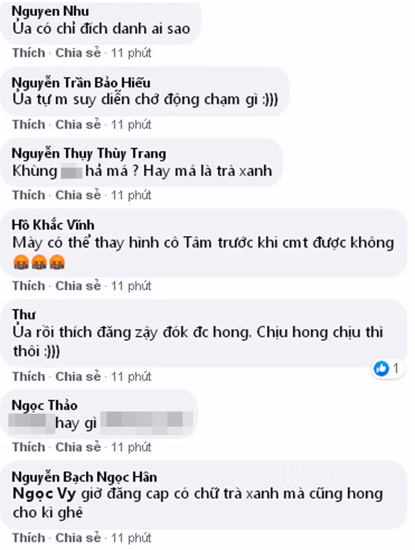 Midu bi chi trich ke fame khi lam tho ve tra xanh-Hinh-4